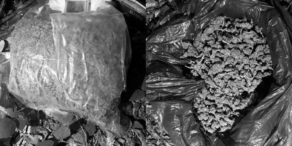 foto kryesore — Mbi 1 kilogram marihuanë kapet në dy vila…