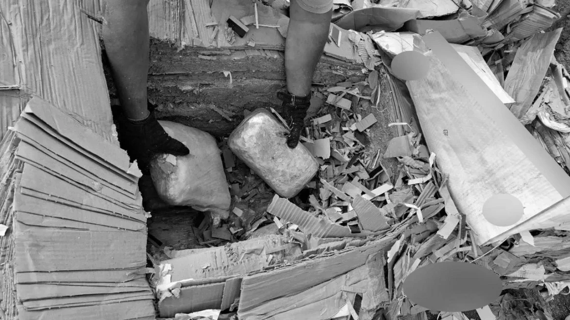 foto kryesore — Sekuestrohen 325 kg marihuanë, Policia jep…