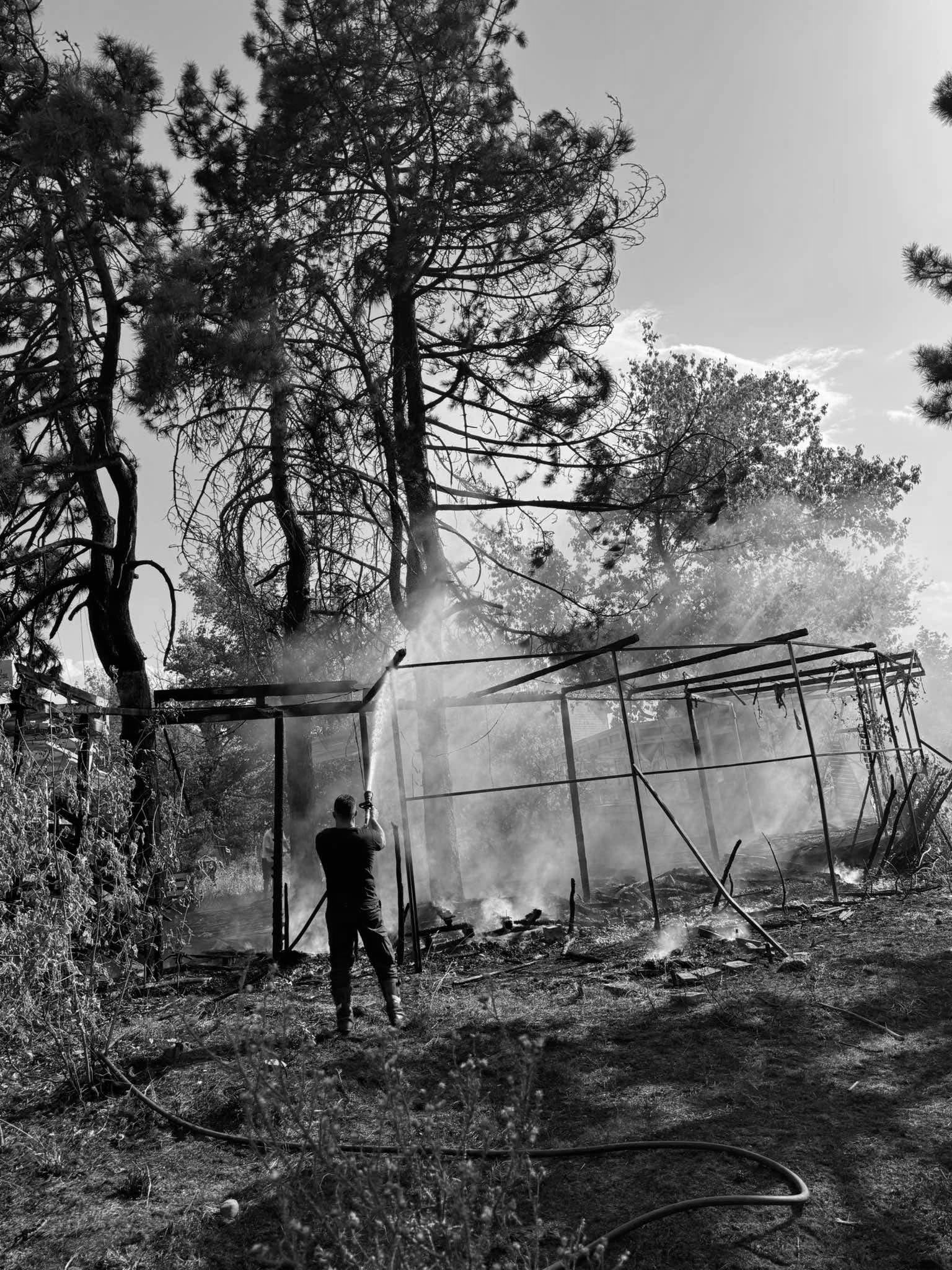 foto kryesore — Zjarr në Parkun e Lirisë në Gjakovë, flakët…