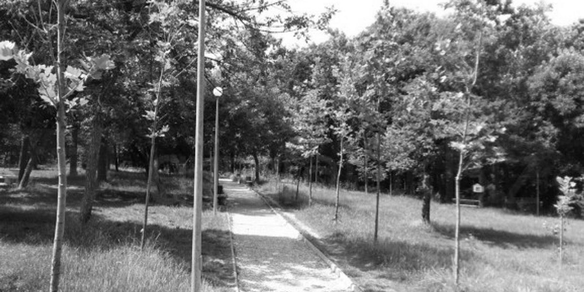 foto kryesore — Sulmohet seksualisht një burrë në…