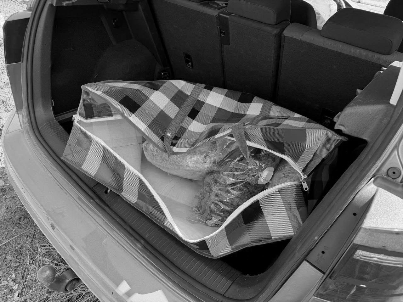 foto kryesore — Antidroga zbulon 3 kg marihuanë në veturë,…