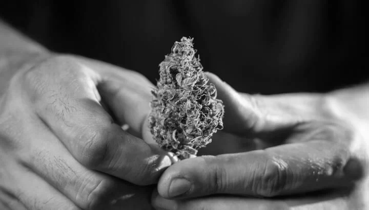 foto kryesore — Alarmuese: Droga s’ka të ndalur – një…