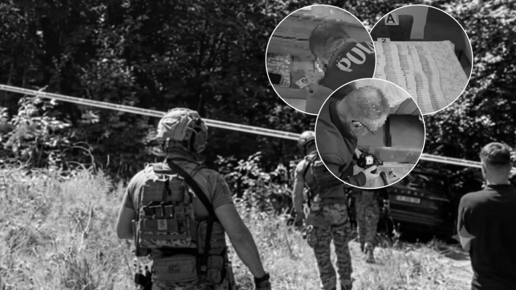 foto kryesore — Operacioni “Dosja 23” në Zubin Potok: Çfarë…