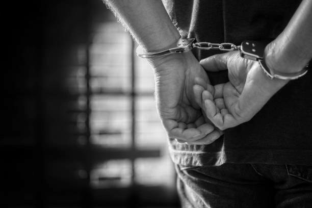 foto kryesore — Arrestohet hajni i maskuar për grabitjen e…