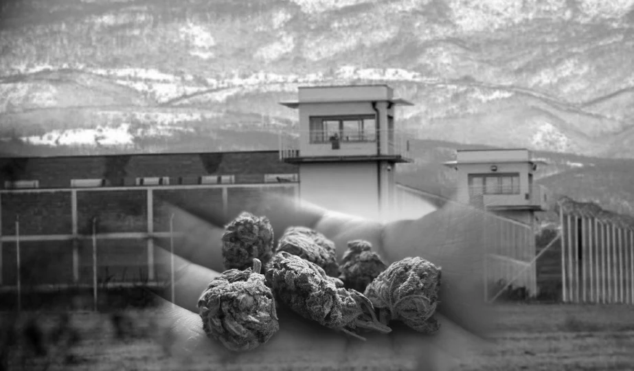 foto kryesore — Dyshohet se droga u hodh nga jashtë brenda…
